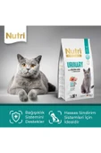 Nutri Feline Urinary Böbrek Sağlığı Destekleyici Somonlu Düşük Tahıllı Yetişkin Kedi Maması 2 Kg - 3