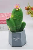 İpek Yıldızı® Led Işıklı Kaktüs Biblo Ev Dekorasyon ve Hediyelik Eşya Led Aydınlatma thumbnail 6