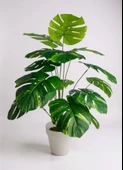 Yapay Çiçek Salon Bitkisi Monstera Tropik Desenli  70cm 18 Yaprak Antrasit Krem Saksıda thumbnail 1