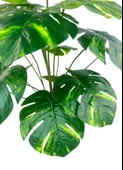 Yapay Çiçek Salon Bitkisi Monstera Tropik Desenli  70cm 18 Yaprak Antrasit Krem Saksıda thumbnail 4