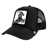 Stallion 101-0393 thumbnail 1