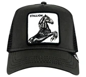 Stallion 101-0393 thumbnail 2