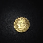 Escoines 3996368990171b4a22 1990 100LİRA ÇÇT+ %70 Bakır para thumbnail 2