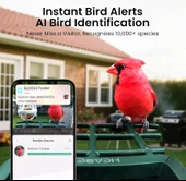 Heapets Kamera, Güneş Enerjili 2K HD Video - Kırmızı - 4