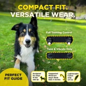 Dogtra 200iQ Uzaktan Eğitim E-Tasması 4,5+ Kg Köpekler - Soyut Mavi - 4