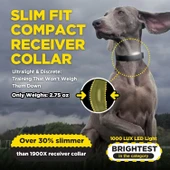 Dogtra ARC-X E-Collar Eğitimi Tasması - 3/4 Mil, 7,5+ Kg Köpekler - 2