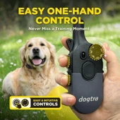 Dogtra 200iQ Uzaktan Eğitim E-Tasması 4,5+ Kg Köpekler - Gri - 3