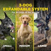 Dogtra 280X E-Tasma Uzaktan Kumandalı 2 Köpek Eğitim 1/2 Mil, 4,5 kg - 2