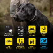 Dogtra 1900X 2 Köpek için Uzaktan Kumandalı E-Collar - 3/4 Mil, 16+ Kg Köpekler - 2