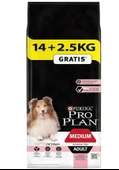 Pro Plan Medium Adult Somonlu Yetişkin Köpek Maması 14+2.5 Kg thumbnail 2