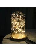 10 Metre Pilli Peri Led, Dekor Işık (Günışığı) - 1