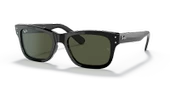 Ray-Ban RB2283 901/31 55 Unisex Güneş Gözlüğü - 1