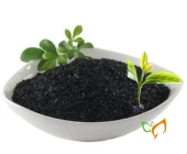 Organik Gübre Toz Hümik Fülvik Asit Potasyum Humat Gübre 500 gr - 3