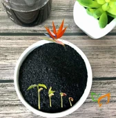 Organik Gübre Toz Hümik Fülvik Asit Potasyum Humat Gübre 500 gr - 2