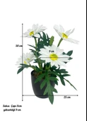 Yapay Çiçek Beyaz Margarit Papatya Siyah Saksıda Dekoratif Yapay Çiçek 30*25cm - 6
