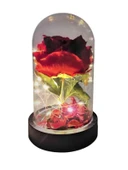 Rosepremium Fanus Içerisinde Dekoratif RGB Led Işıklı Solmayan Kırmızı Gül - 1