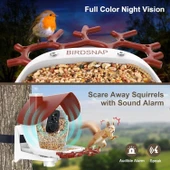 BirdSnap P33 - Güneş Enerjili 2K Video Canlı Kuş Kamerası Yemliği - Kırmızı - 5