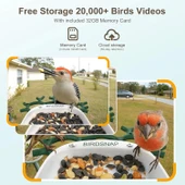 BirdSnap P33 - Güneş Enerjili 2K Video Canlı Kuş Kamerası Yemliği - Koyu Yeşil - 6