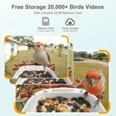 BirdSnap P33 - Güneş Enerjili 2K Video Canlı Kuş Kamerası Yemliği - Kırmızı - 6