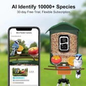 BirdSnap PAV - Akıllı Kuş Yemliği, Güneş Enerjili Kamera 2K HD - Koyu Yeşil - 2