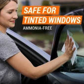 Armor All Cam Temizleme Mendilleri 20Ad. thumbnail 3