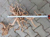 Yati Kökü Bağ 35-45 cm - 6