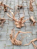 Yati Kütüğü Bağ 35-45 cm thumbnail 7