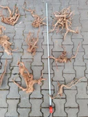 Yati Kütüğü Bağ 35-45 cm thumbnail 3