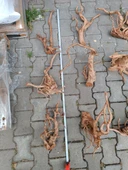 Yati Kökü Bağ 35-45 cm - 1