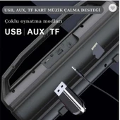 Trend Store Kablosuz Mikrofonlu Bluetooth Hoparlör Karaoke USB AUX Bas FM Radyo TF Müzik Sistemi Stereo - 6