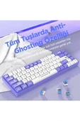Coverzone Ajazz Ak680 65% Kablolu Hotswap Mekanik Oyun Klavyesi, 68 Tuşlu Anti-ghosting Mor Beyaz, Blue Switch thumbnail 7