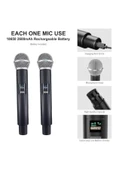 Coverzone 2'li Profesyonel Kablosuz Mikrofon Sistemi,Tek Alıcı El Tipi Kablosuz mikrofon,30m Menzil,LT-508 thumbnail 5