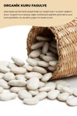 ÇALI KURU FASULYE 500 GR - 3