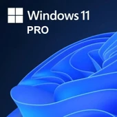 Windows 11 Pro Key - 2
