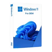 Windows 11 Pro OEM Lisans Key - 1