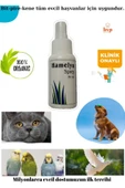 hamelyn 30ml Kedi Dış Parazit Pire Spreyi Bit Kene Karınca Sivrisinek Köpek Tavşan Güvercin - 1