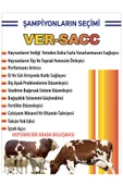 Ber vet pet Ver-sacc 20kg büyükbaş küçükbaş yem katkısı vitamin mineral premiksi ekstra maya ve toksin bağlayıcı - 2