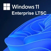 Windows 11 Enterprise LTSC 2024 Lisans Key - 2