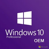 Windows 10 Pro OEM Lisans Key - 2