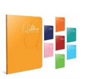 Gıpta Mica Tel Dikişli Plastik Kapak Defter A5 80 Yaprak Çizgili 12’lı - 1