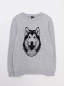 LCW Kids Bisiklet Yaka Desenli Uzun Kollu Erkek Triko Kazak thumbnail 1