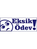 Öğretmen Kaşesi - Eksik Ödev, 912 (51mmX19mm) Mavi Keçeli Otomatik Kaşe - 2