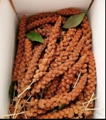 Kuşlar İçin Kızıl Dal Darı 500 GR - 2