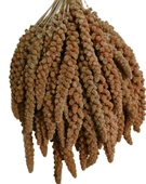 Kuşlar İçin Kızıl Dal Darı 150 gr - 1