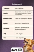 PURELİFE PLUS KEMİK ÖDÜL MAMASI KUZU ETLİ 80GR - 2