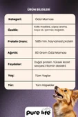 PURELİFE PLUS KUZU ETLİ KÖPEK ÖDÜL MAMASI 80GR - 2