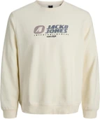 Jack & Jones Erkek Bej Sweat 12282791 - 1