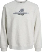 Jack & Jones Erkek Gri Sweat 12282791 - 1
