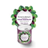 Buffer® Konserve Bahçem Evde Konservede  Kemer Patlıcanyetiştirme Kiti thumbnail 2