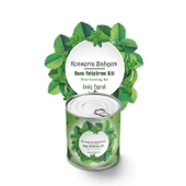 Buffer® Konserve Bahçem Nane Yetiştirme Kiti thumbnail 2